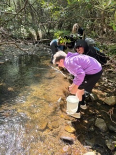 Students looking for aquatic insects. 
