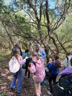 Students visited the Pink Beds in the Pisgah National Forest and got to experience the outdoors firsthand. 