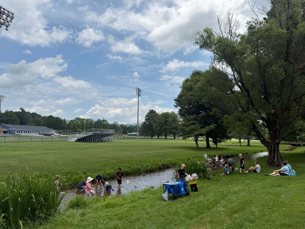 creek day