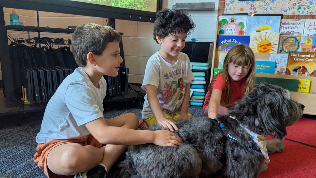 Decorative Image