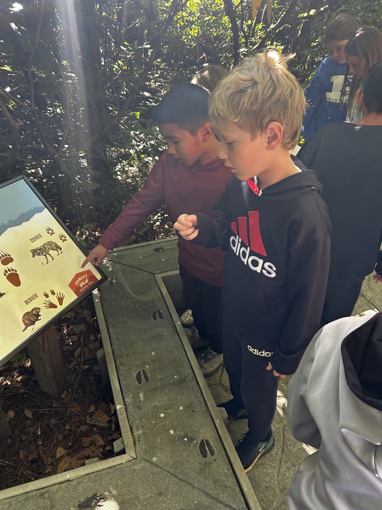 4th Grade students on field trip to the Cradle of Forestry.