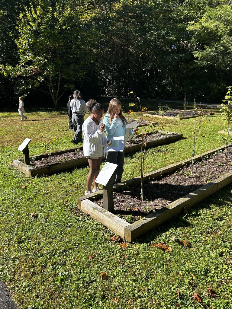 4th Grade students on field trip to the Cradle of Forestry.