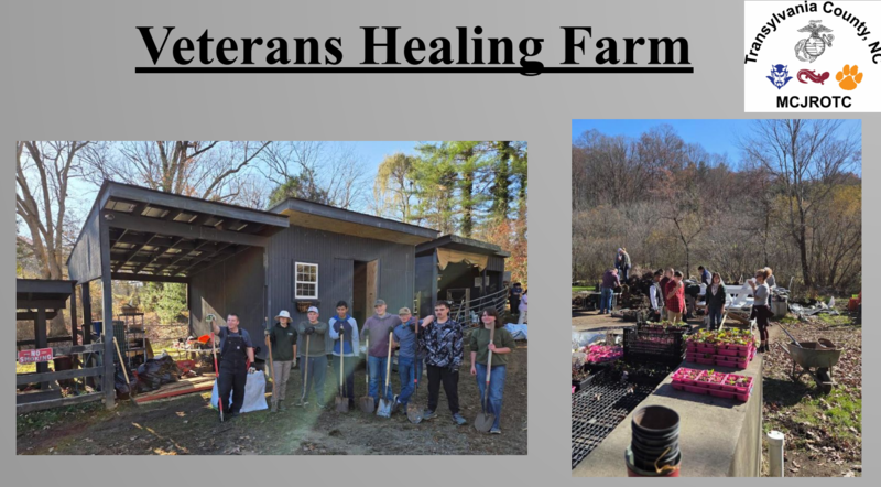 Veterans Healing Farm