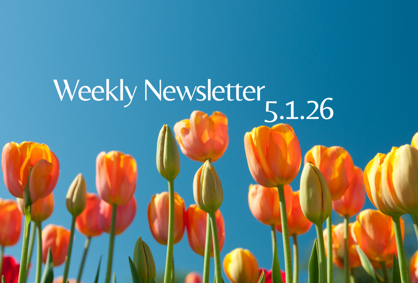 weekly newsletter 5.1.26