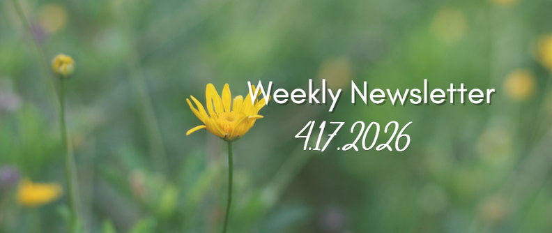 Weekly Newsletter 4.17.2026 With Wild flowers in the background