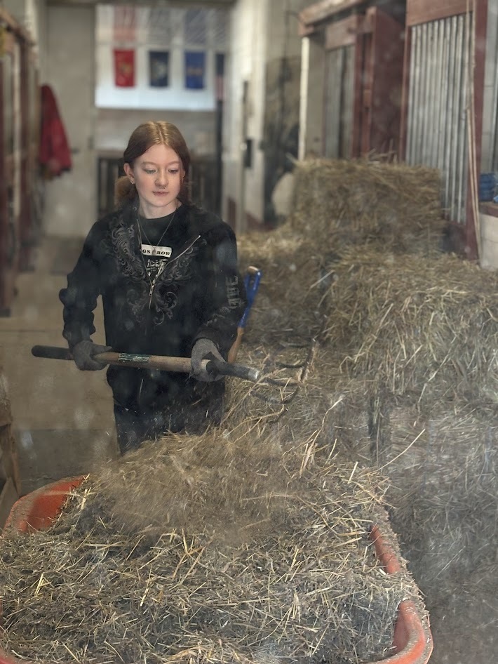 TCHS student assist in a barn at Reigning Liberty