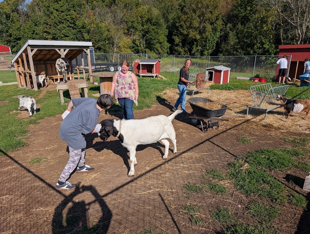 TCHS students and staff work in the goat pen at Reigning Liberty