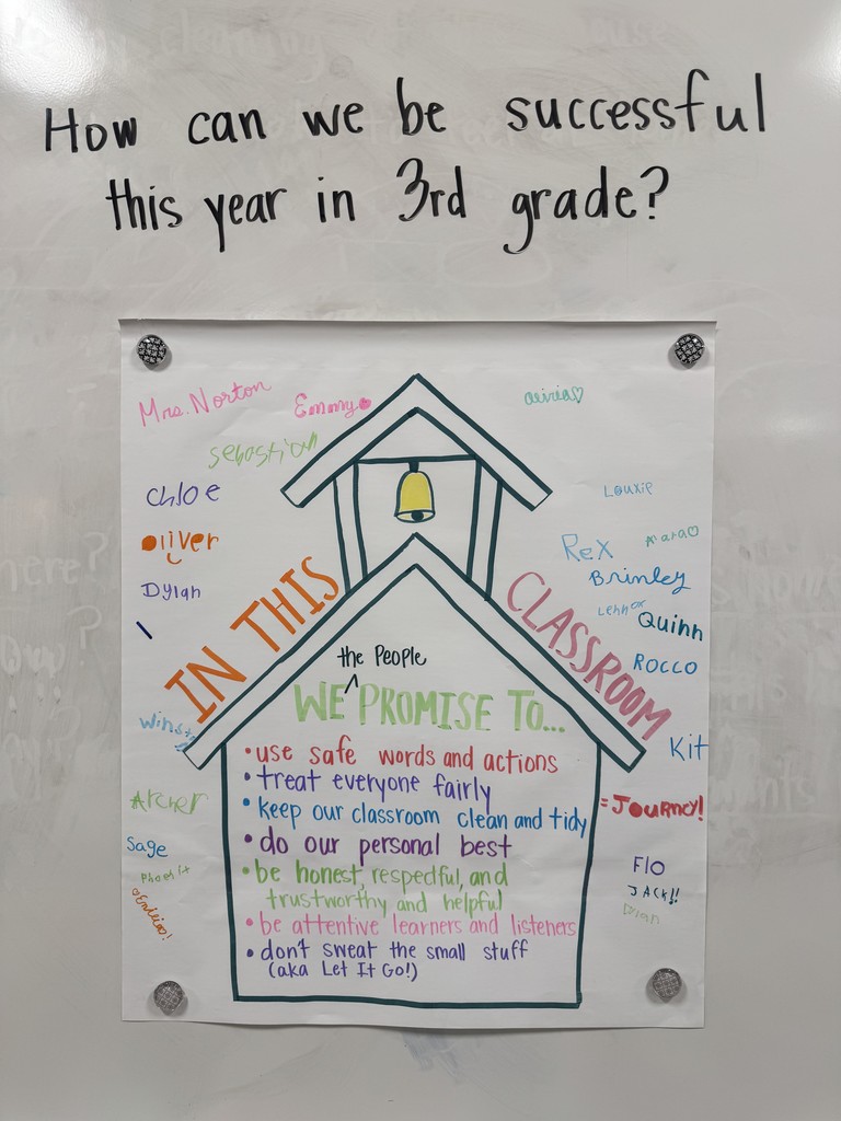 posted paper of classroom Constitution