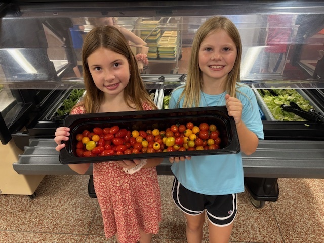 Tomatoes
