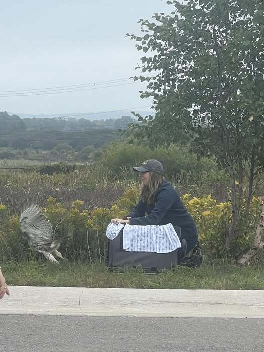wman releasing hawk outside