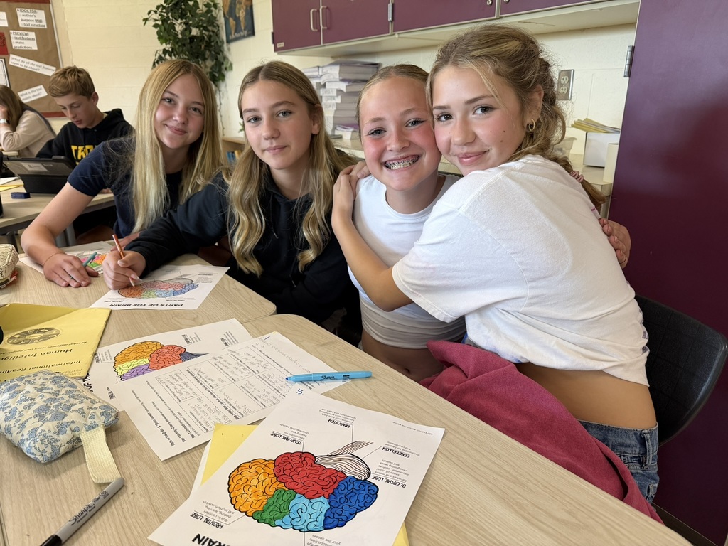 students exploring an infographic