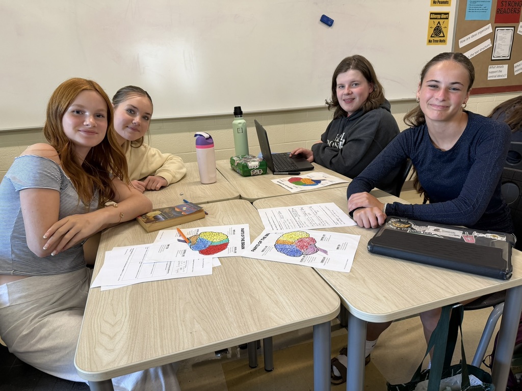 students exploring an infographic