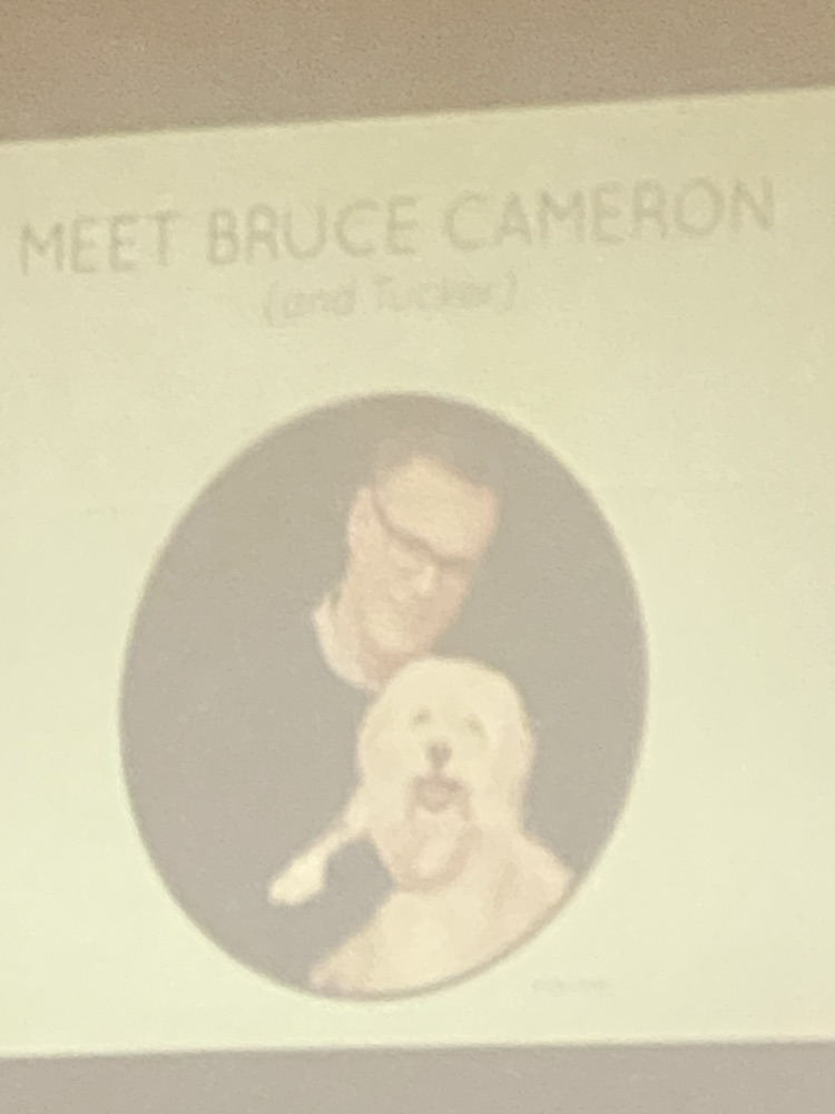 Meet Bruce Cameron