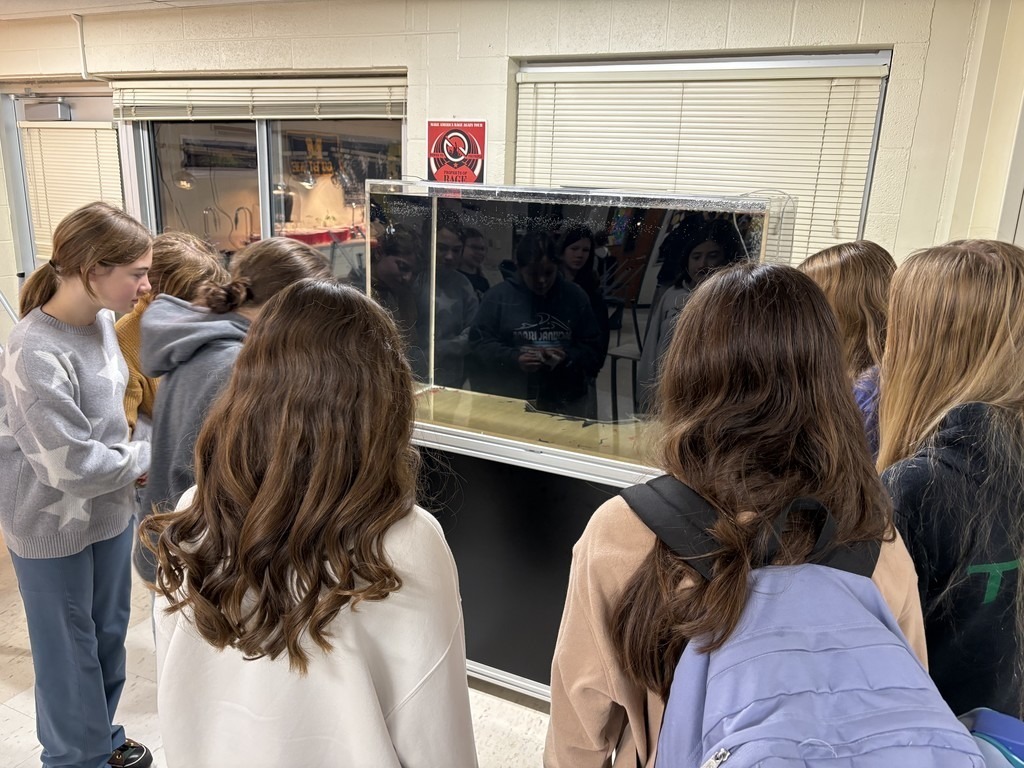 Students look intently at a large aquarium tank, with their reflections visible on the glass.