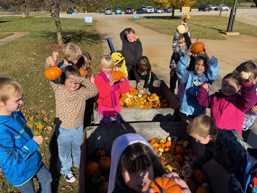 Kids picking gourds