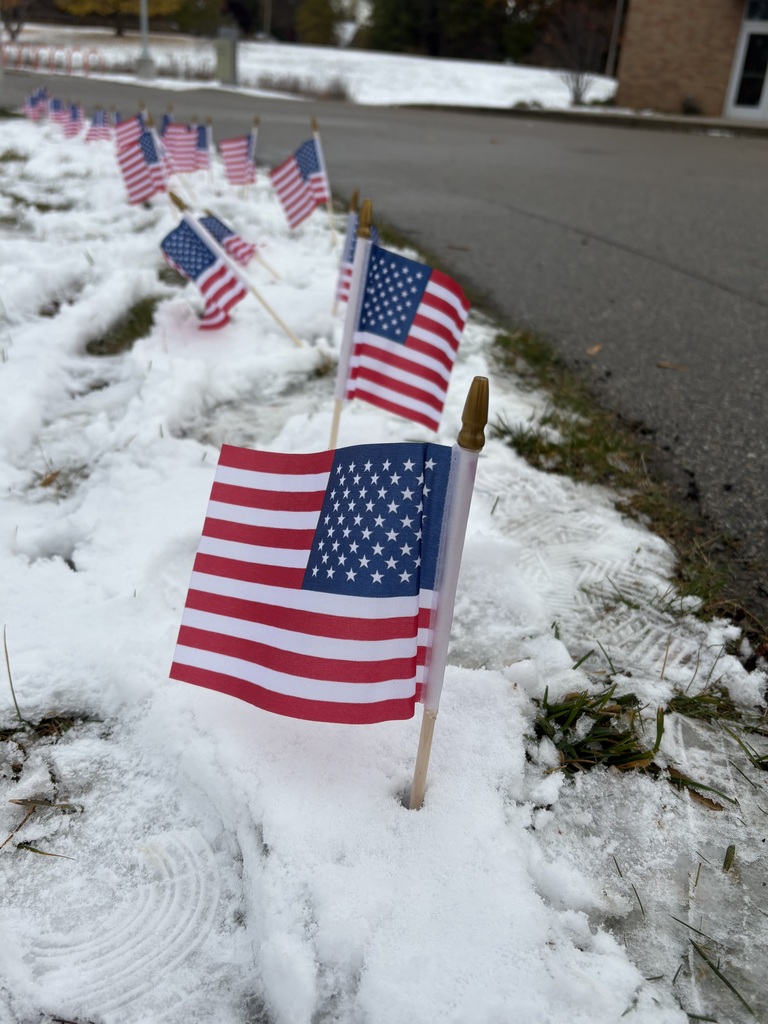 American flags in the ground of the school's front circle