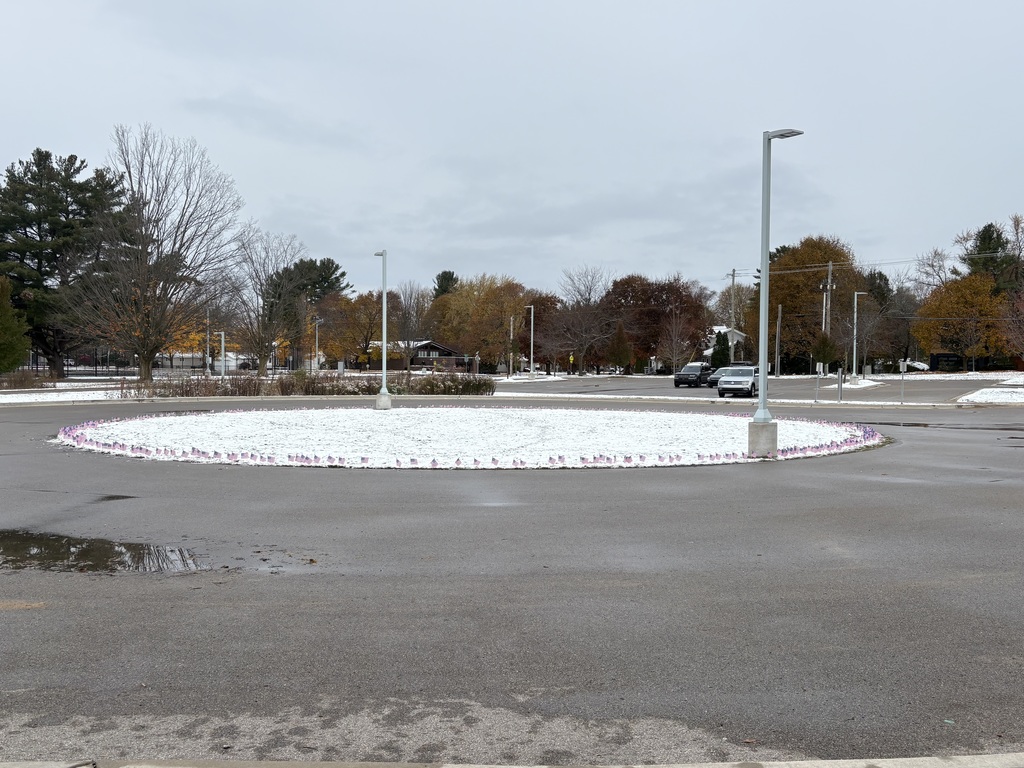 The school's front circle lined with American flags