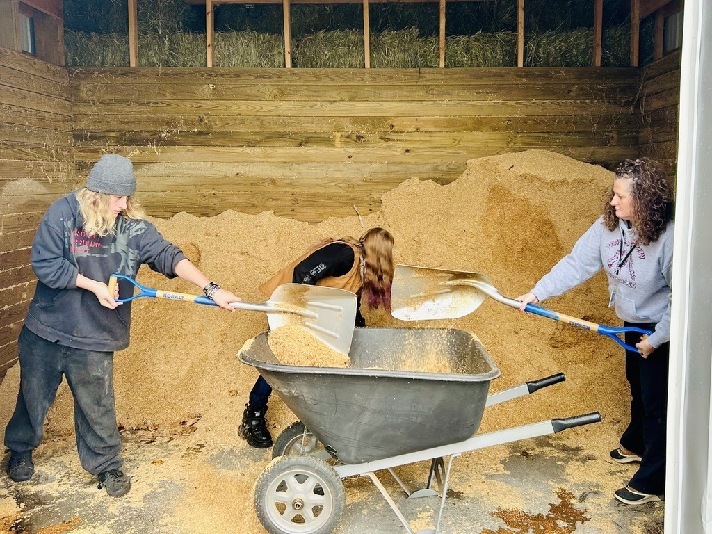 People putting hay in a wheelbarrel