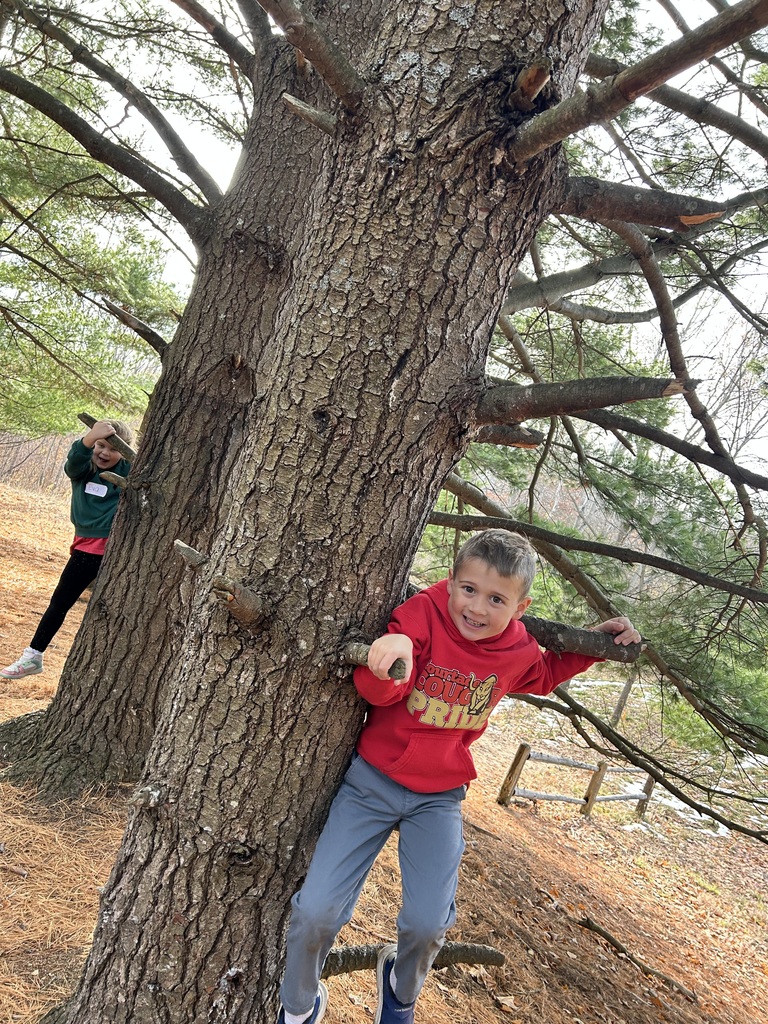Kids on a tree