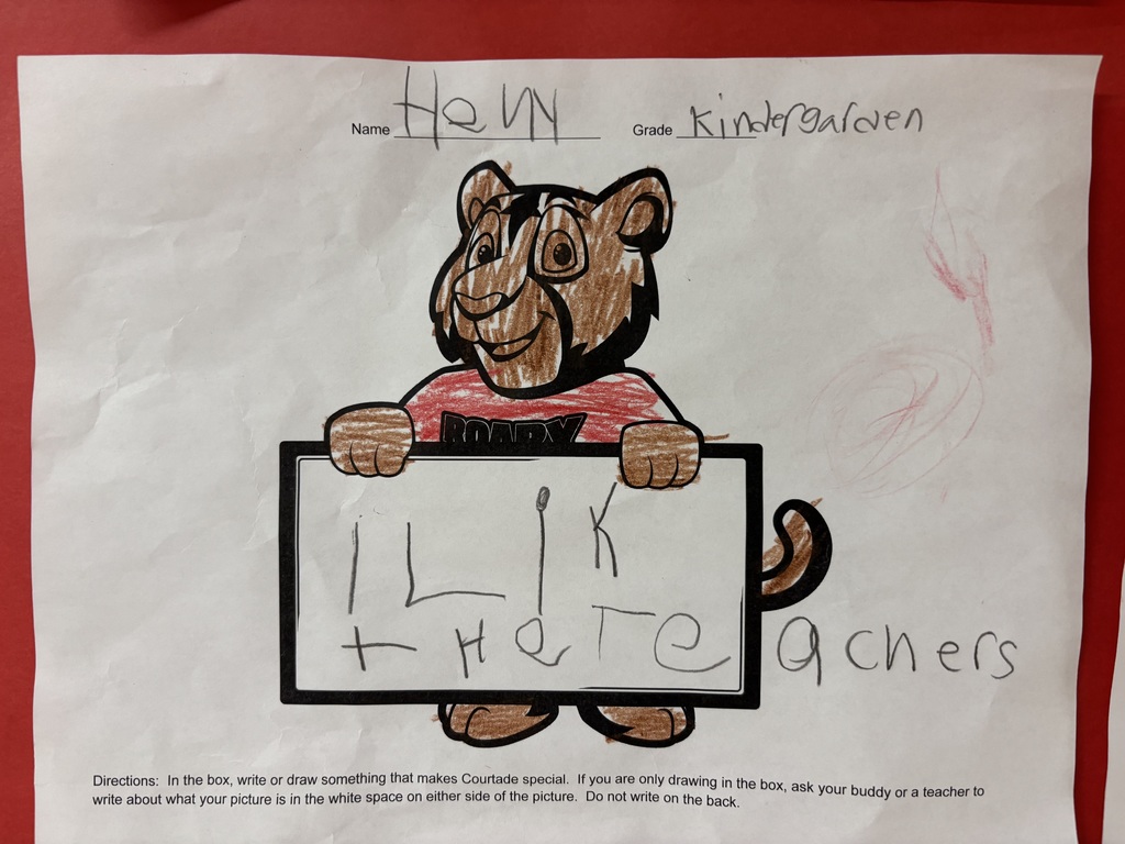 I like the teachers.