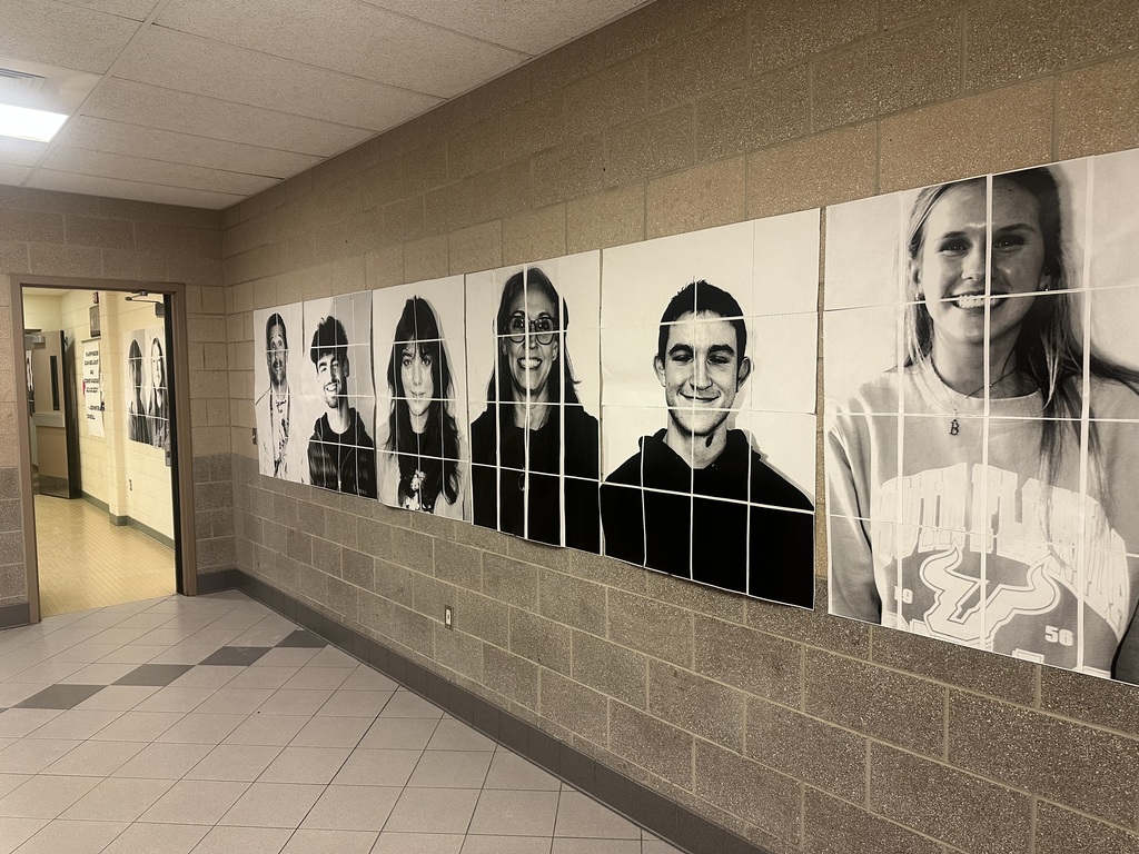 Image of portraits hanging up in school.