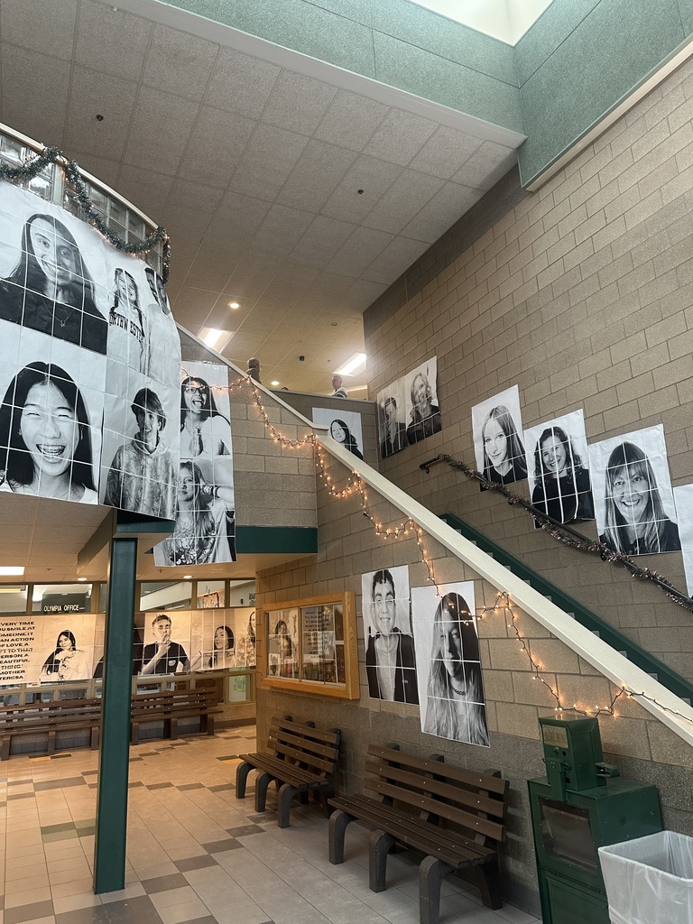 Image of portraits hanging up in school.