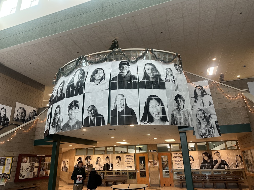 Image of portraits hanging up in school.