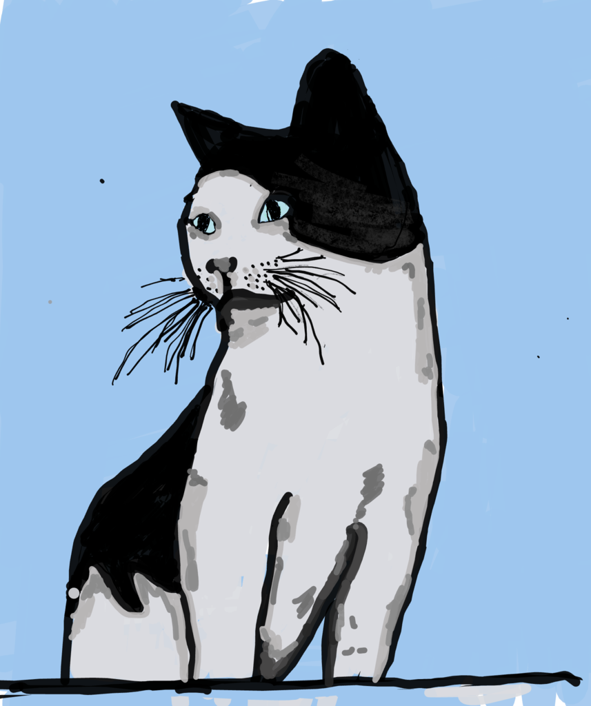 Black and white cate