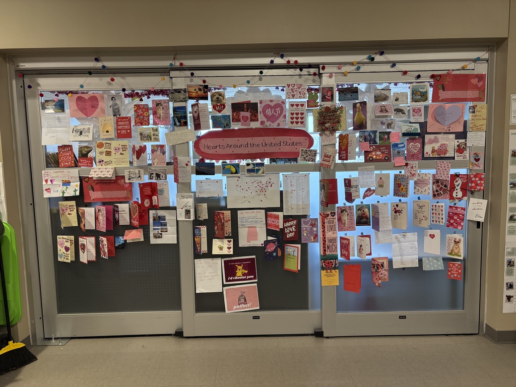 A landscape picture of the window wall of the classroom to which all the received valentines are taped.