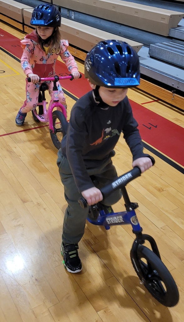 Two preschoolers wearing blue helmets ride their balance bikes together.