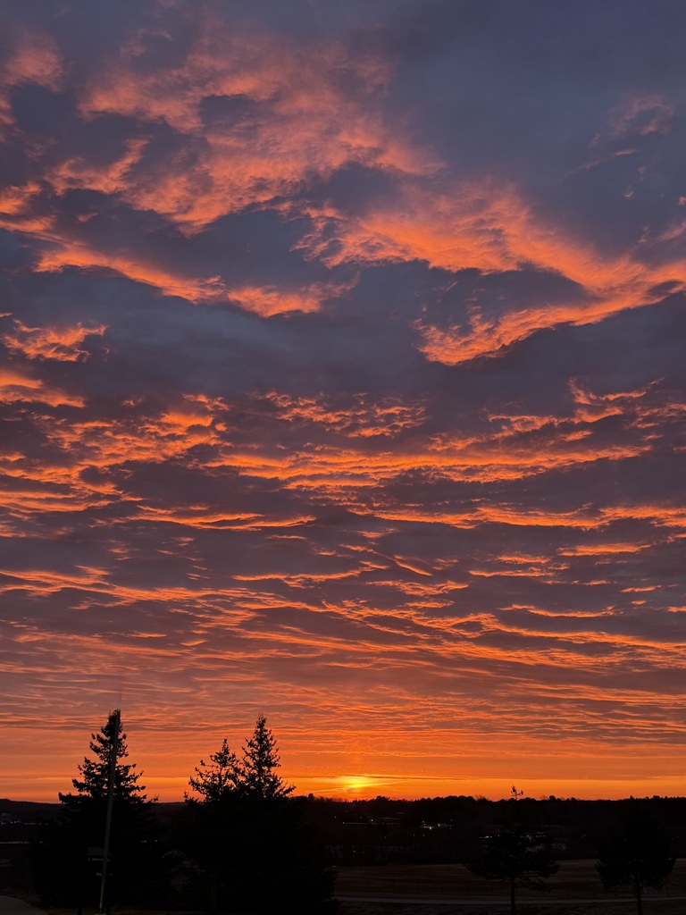 Picture of a sunrise with three trees in the horizon. Sunrise is orange.