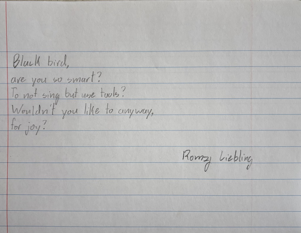 7th grader's poem