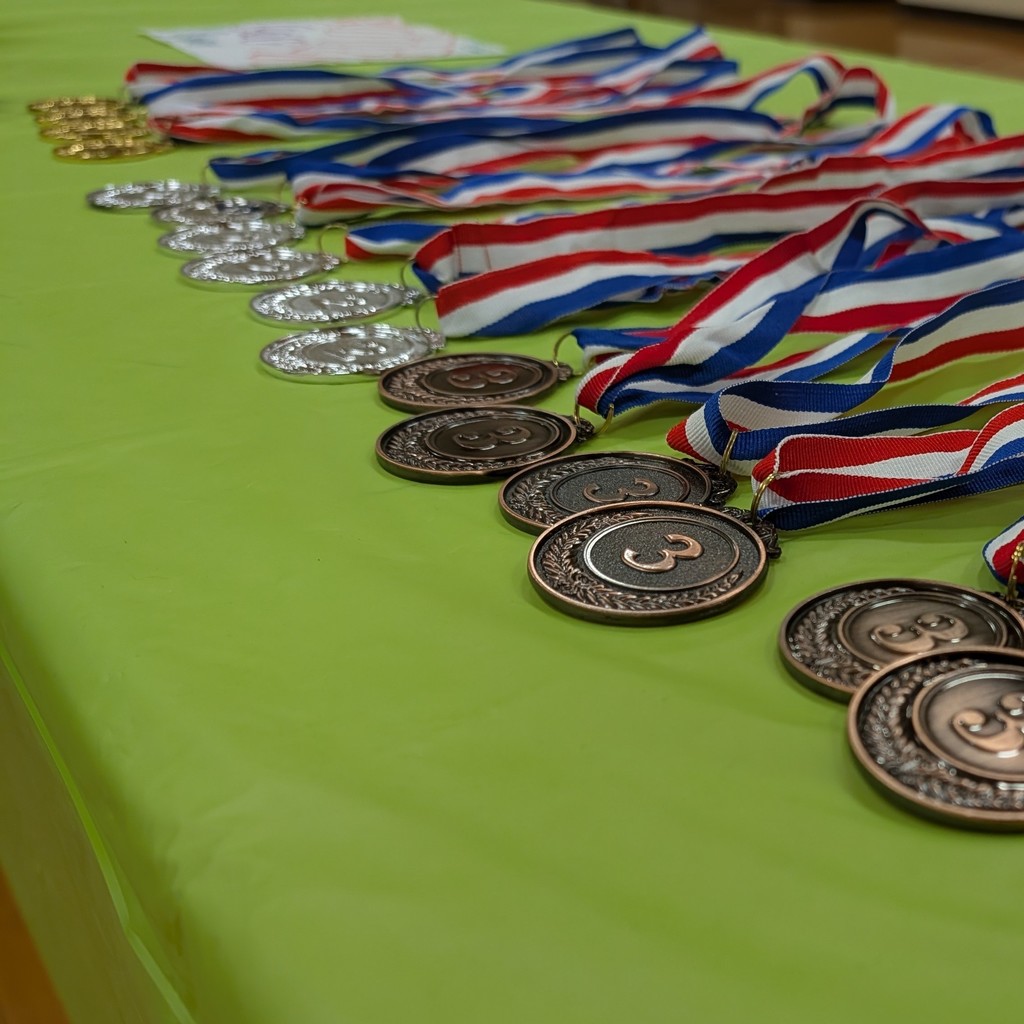 Multiple silver medals and their red, white, and blue ribbons on a green table.