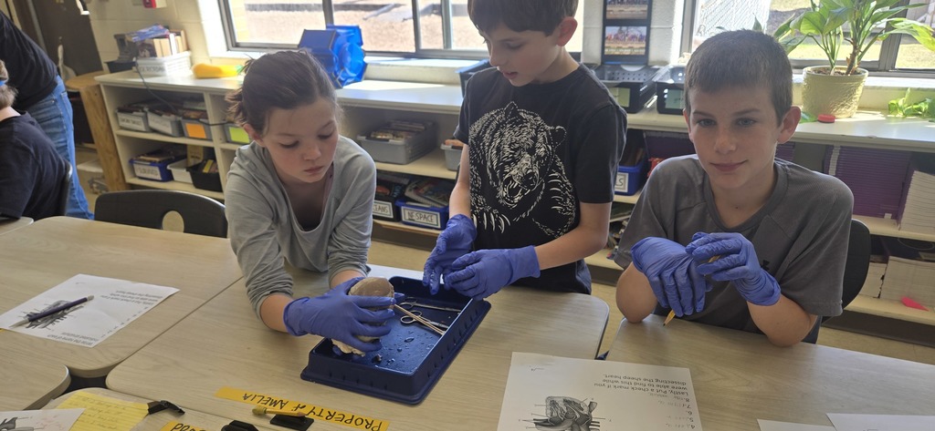 Three children wearing gloves, examining objects in a blue tray on a table. A plant in a pot on the windowsill.
