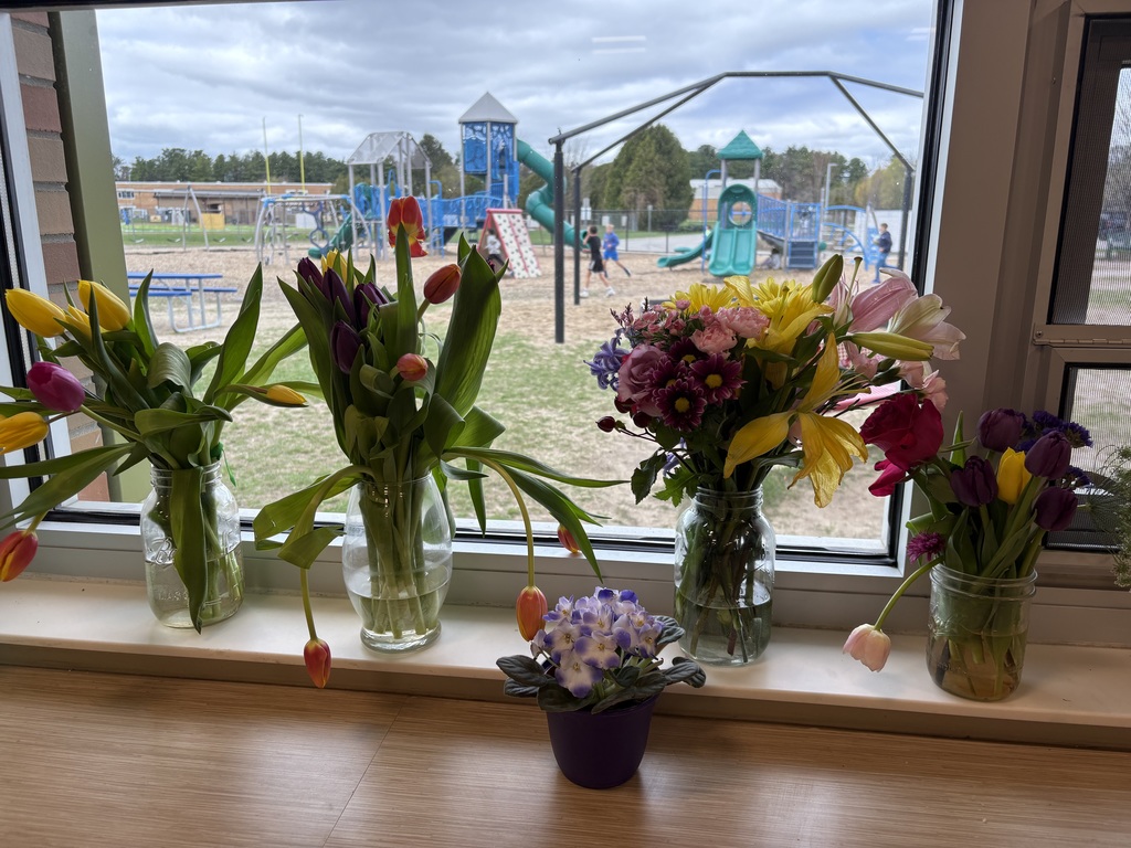 Five glass vases with flowers sit on a windowsill, with a playground visible in the background.