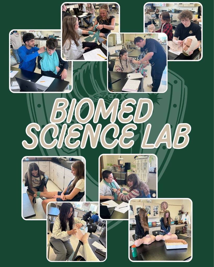Collage of images showing students in a biomedical science lab, working on various tasks.