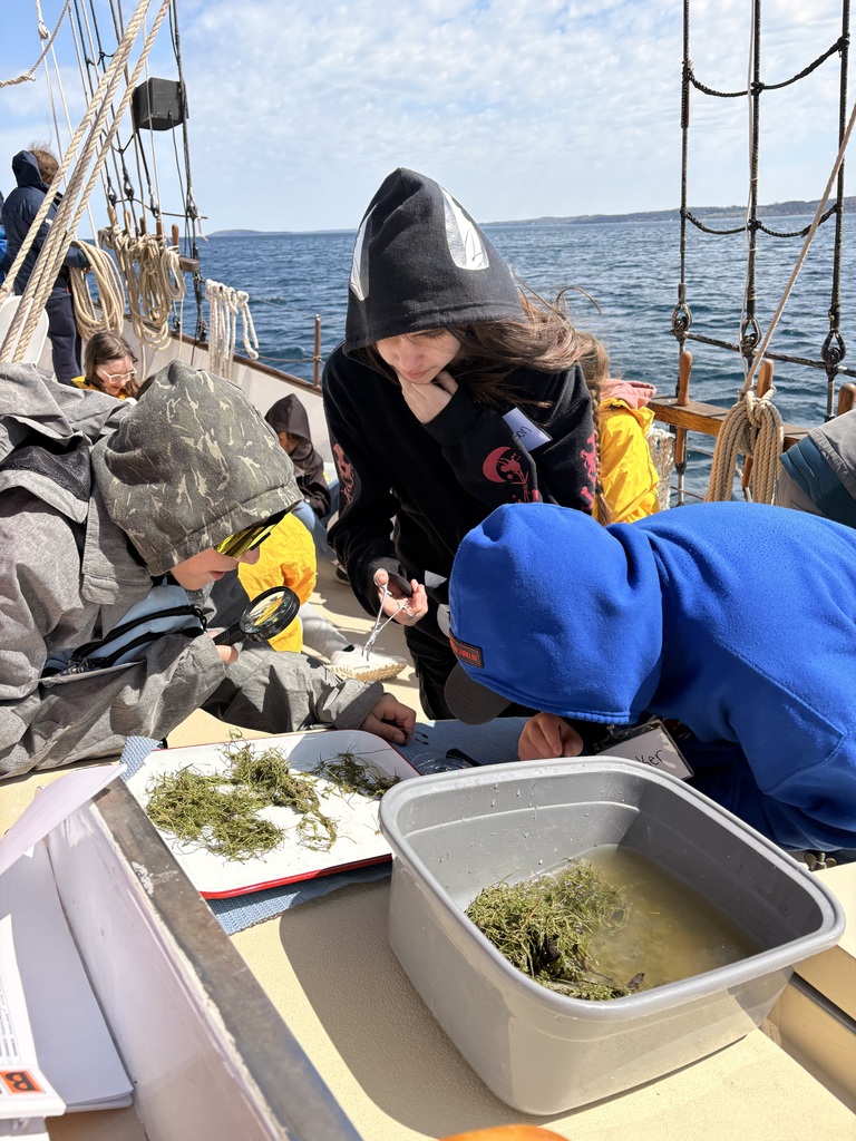 6th grade science class out on West Grand Traverse Bay with Inland Seas on the Schooner Alliance.