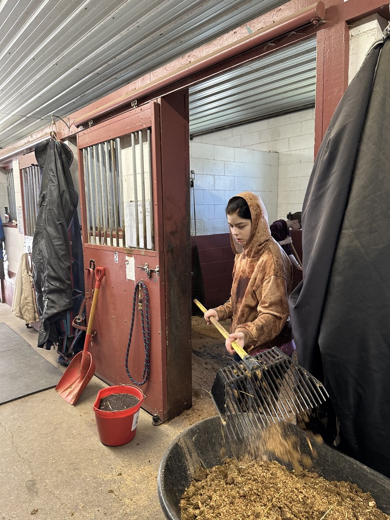 TCHS student shovels hay at Reining Liberty