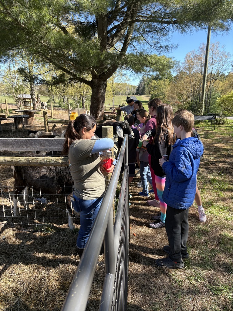 A group of children and adults at a farm, looking at animals through a metal fence.