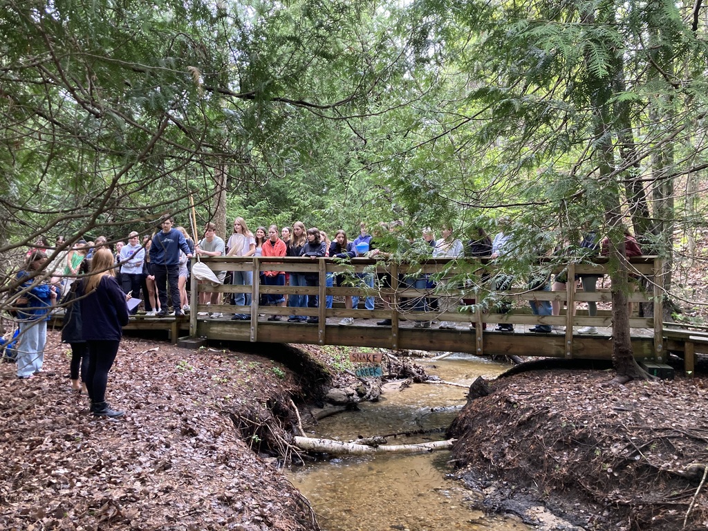 A group of people stand on a wooden bridge in a forest, with a small stream beneath.