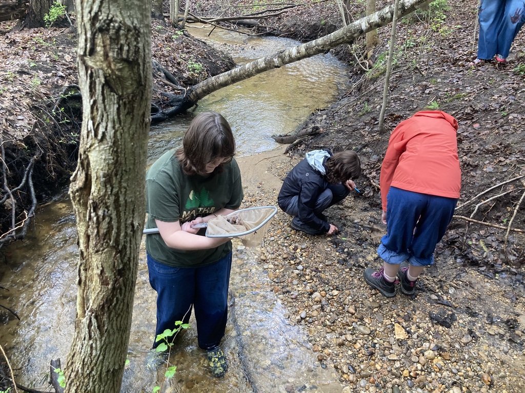 Three people investigate a stream in a wooded area. One person holds a collection tray.