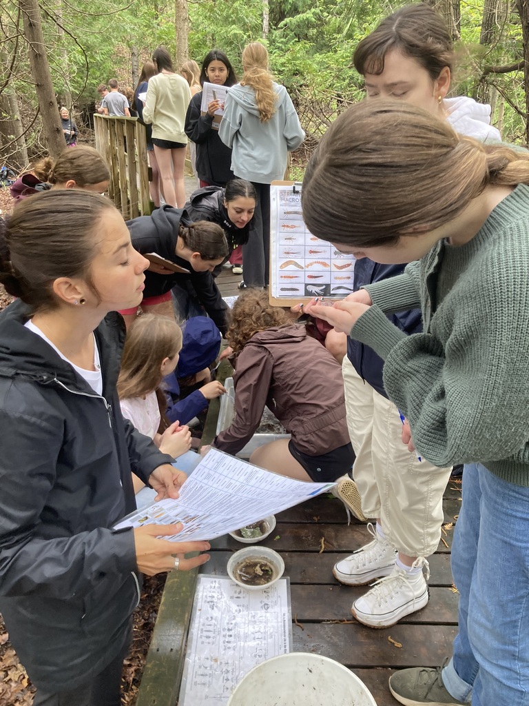 A group of students are outdoors examining small items in bowls. They are looking at a map on a wooden table.
