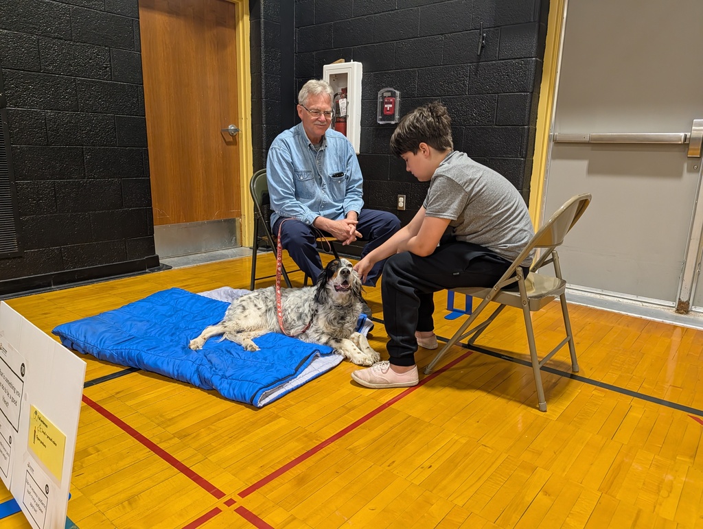 A boy pets a dog on a blue mat in a gym.