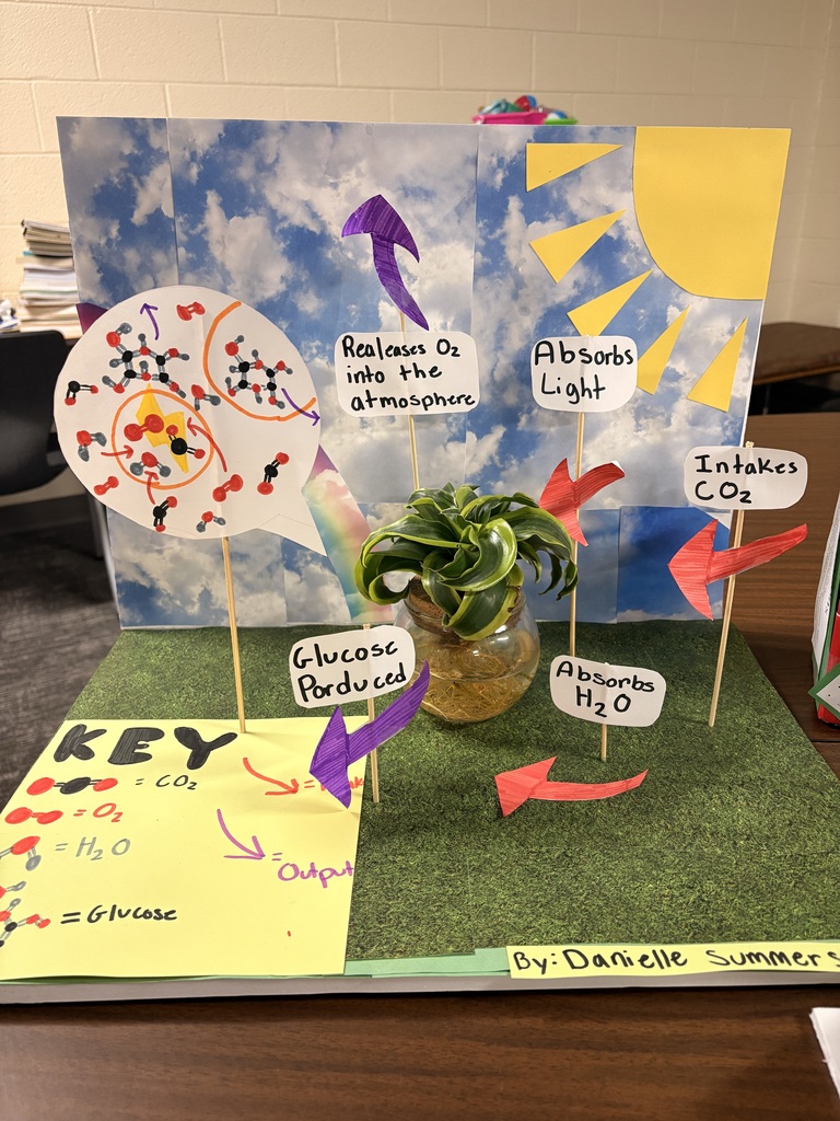 7th grade completed honors projects.