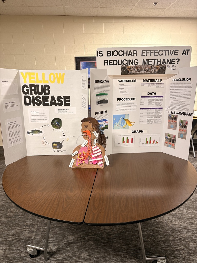 7th grade completed honors projects.