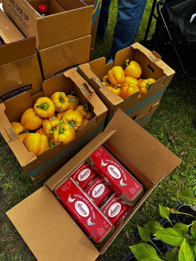 Several cardboard boxes with peppers and red packages labeled "Artisans" on grass, with a black bag on the right.