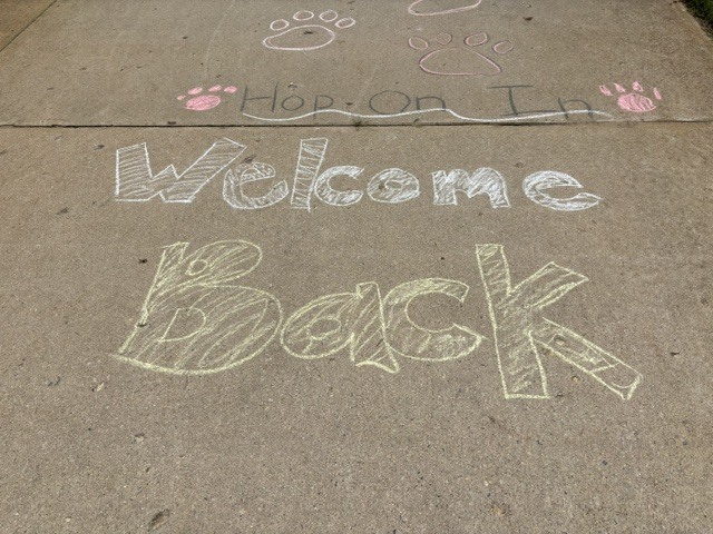 Chalk writing on concrete. Words are "Welcome Back". Animal paw prints are on either side. Background is a concrete sidewalk.