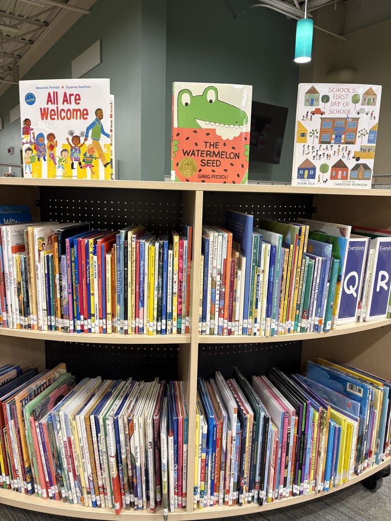 A library shelf with books in different colors and sizes. Three books are displayed at the top.
