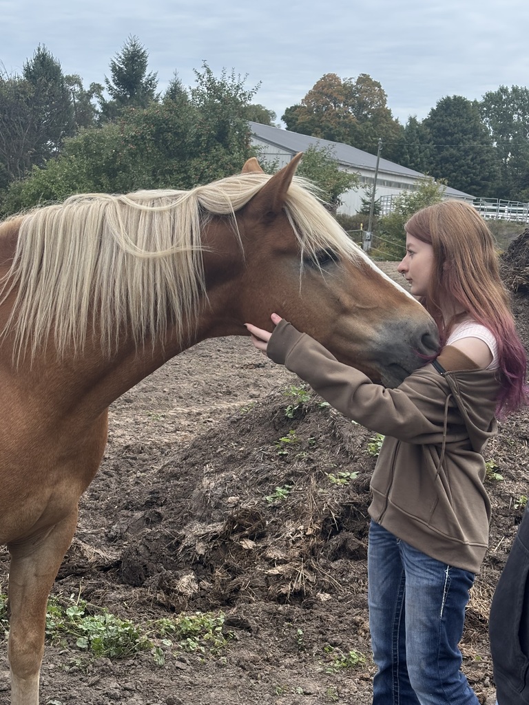 TCHS student interacts with a horse at Reigning Liberty