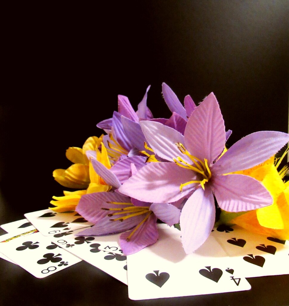 Purple and yellow paper flowers rest on cards with black spades and hearts against a black background.